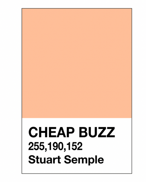 Cheap Buzz - 50g powder paint pigment - Not Peach Fuzz - Culture Hustle USA