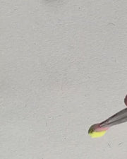 RENEGADE - Luminescent Colour Changing Pigment Set