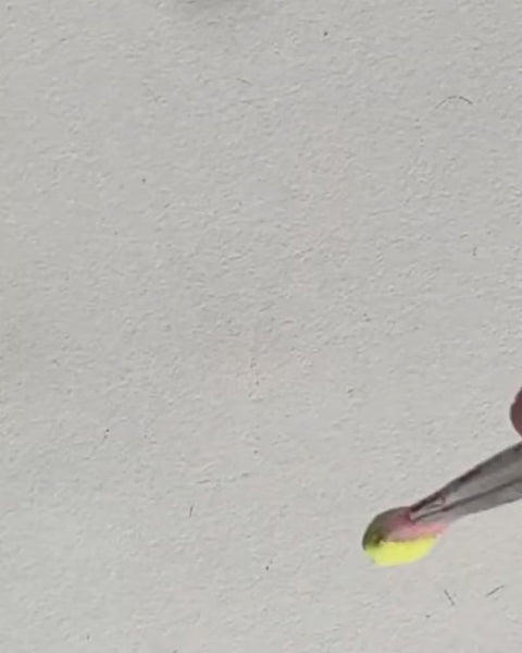 RENEGADE - Luminescent Colour Changing Pigment Set